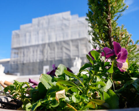 Supreme Court likely to rule in favor of abortion opponents in challenge to state investigation