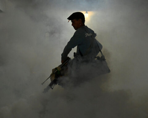 Cuba says 33 have died of mosquito-borne illnesses as epidemic rages