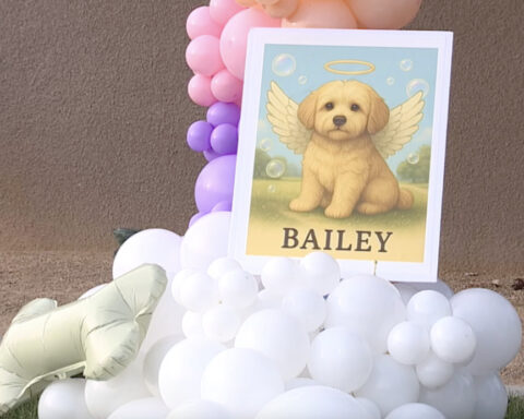 Vigil held for dog dumped in trash can