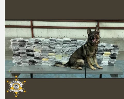 Drug-sniffing dog helps intercept nearly 400-pound cocaine haul at Blue Water Bridge checkpoint