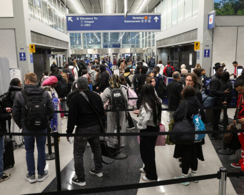 US screened record 3.13 million airline passengers on Sunday