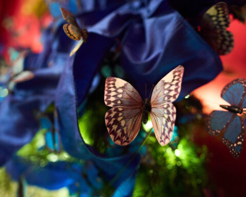 Melania Trump reveals White House holiday decorations and her theme, 'Home Is Where the Heart Is'