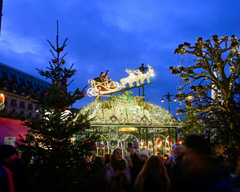 German consumer confidence dims as Christmas shopping season falters