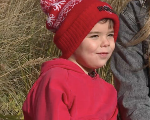 4-year-old boy raises $2,000 for homeless dogs through can collecting project