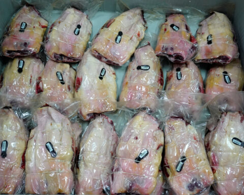 Eight more suspected swine fever cases as Spain struggles to limit export damage