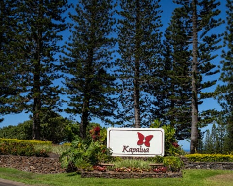 Brown grass cost a famed golf course a big tournament and highlighted Hawaii water problems