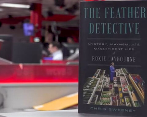 How a 1960 plane crash in Boston Harbor launched 'feather detective,' reshaped aviation safety