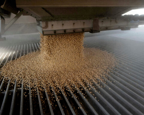 More US soybean shipments to China due to load through mid-December