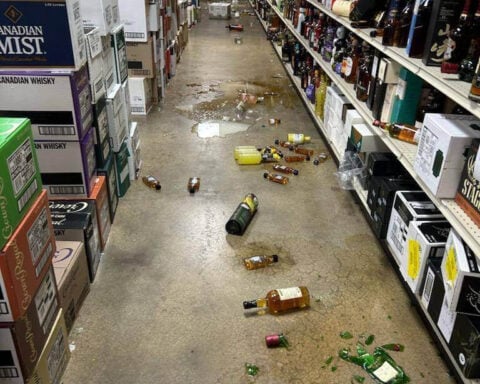 Raccoon goes on drunken rampage in Virginia liquor store and passes out on bathroom floor