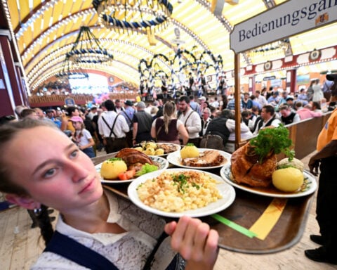 German service sector growth slows in November, PMI shows