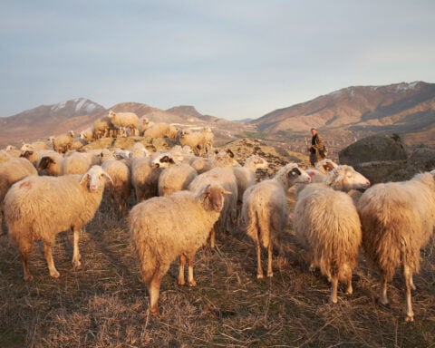 There’s still one beautiful Southern European country with delicious food, great wine and no tourist crowds