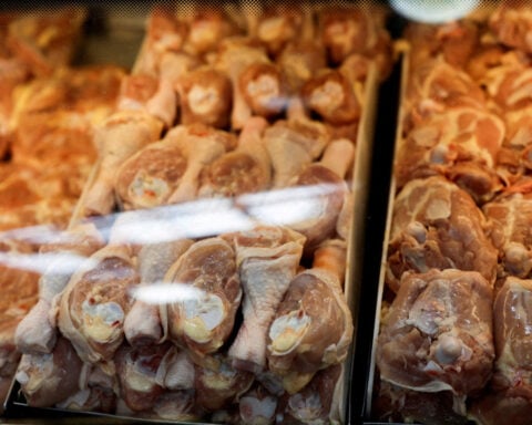 Brazil's 2025 chicken exports to rise despite bird flu trade bans