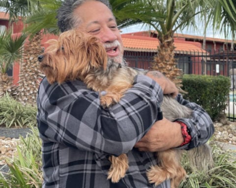 Stolen dog reunited with owner after days-long search