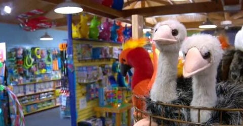Inside Minnesota's LARK Toys, a one-of-a-kind marvel