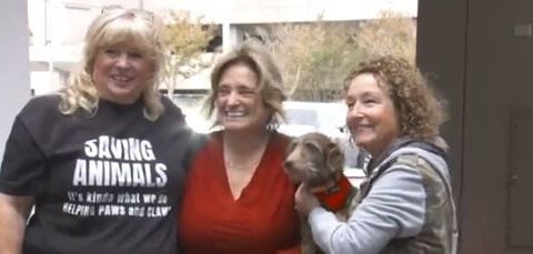 Dog found in Michigan reunited with family 5 years after going missing