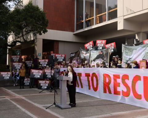 California activist gets jail time for taking chickens from Perdue Farms plant