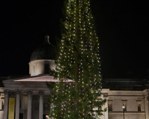 Norway donates a Christmas tree to London every year. Here's how the tradition began