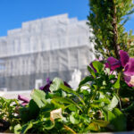 Supreme Court allows Texas to use a congressional map favorable to Republicans in 2026