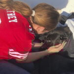 Lifeguards rescue dog swept out to sea by rip current off San Diego coast