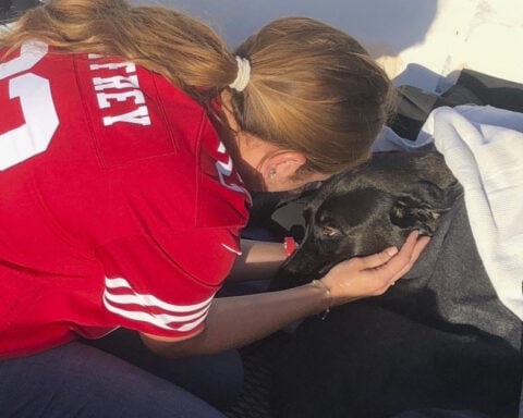 Lifeguards rescue dog swept out to sea by rip current off San Diego coast