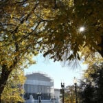 Supreme Court agrees to decide if Trump may end birthright citizenship