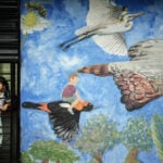 Threats, armed men and bodyguards are facts of life for activists in Colombia's Amazon