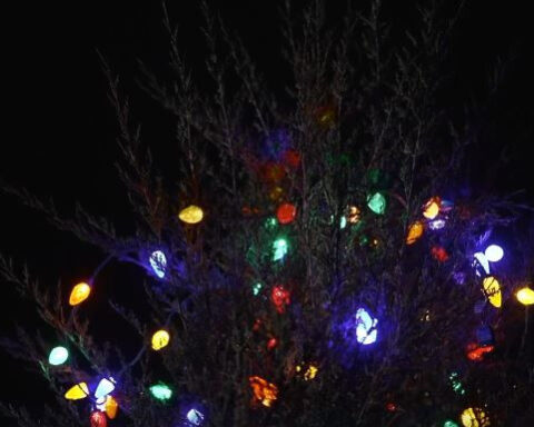 VA community saves Christmas after vandals destroy 40-foot cedar tree: 'It really worked out'