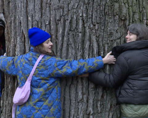 'So beautiful': Community hosts farewell celebration for historic 250-year-old tree