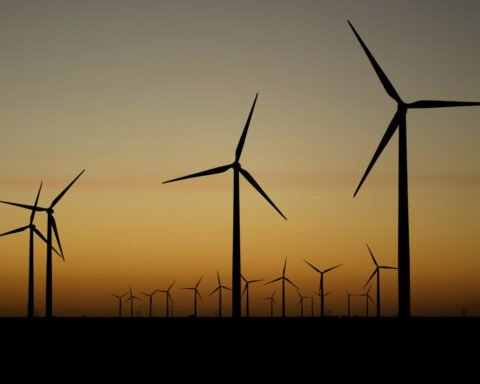 Federal judge throws out Trump order blocking development of wind energy