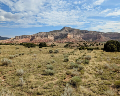 Georgia O'Keeffe's views of the New Mexico desert will be preserved with conservation plan