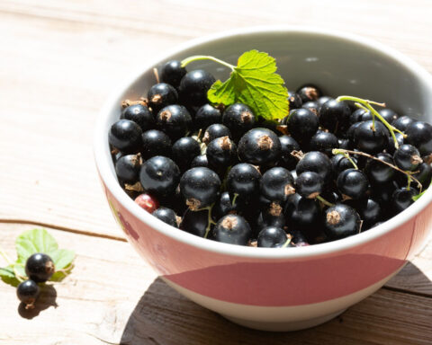 McCormick predicts this flavor will dominate menus in 2026