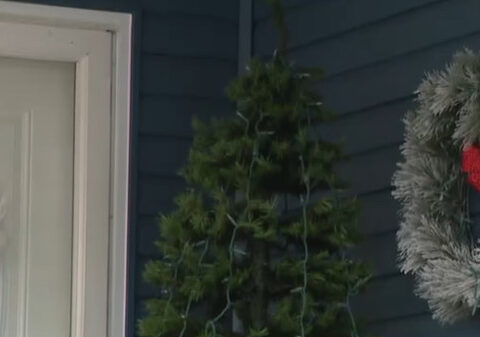 'Seems like a real-life Grinch': Latrobe police searching for Christmas tree thief