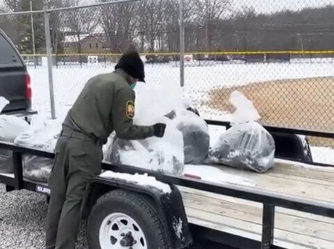 Testing points to likely cause after 70+ vultures found dead on Ohio school grounds
