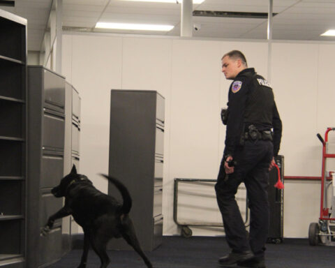 First group of K9 units certified to detect pure fentanyl