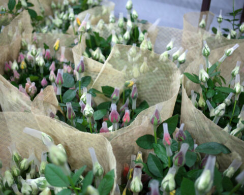 Designer Manish Malhotra throws India’s best parties. Here’s his guide to picking the perfect gift