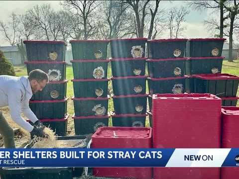 Local rescue builds outdoor shelters for cats during winter months