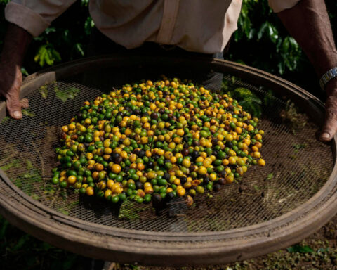 It’s not just Americans who are feeling Trump’s tariffs. Five charts show their global impact