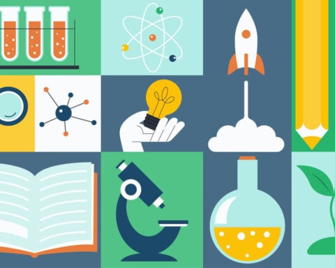 Polytechnic universities focus on practical, career-oriented skills, offering an alternative to traditional universities