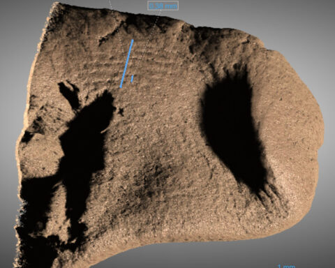 Researchers uncover clues to mysterious origin of famous Hjortspring boat