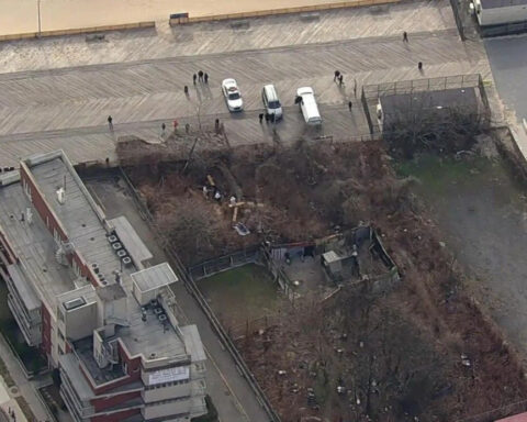 Human skull found in Coney Island, police say