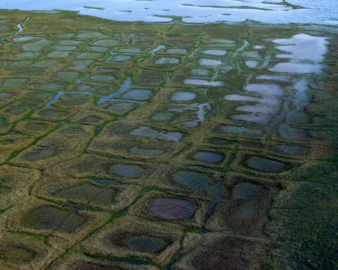 Lawsuit challenges the approval of an exploratory drilling program in Alaska petroleum reserve