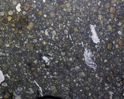 Can scientists detect life without knowing what it looks like? Research using machine learning offers a new way