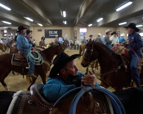 Threat of equine virus looms over major rodeo event in Las Vegas