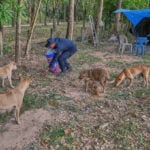 Thai villagers stay behind to guard empty homes as border clashes force mass evacuations