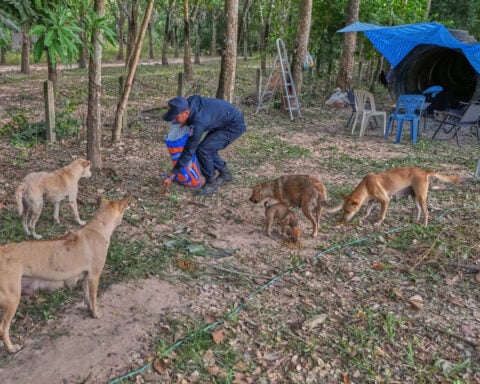 Thai villagers stay behind to guard empty homes as border clashes force mass evacuations