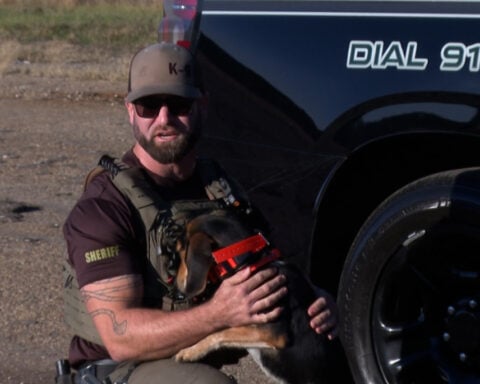 Beagle K-9s help deputies track suspects, missing persons