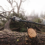 Evacuations ordered in 3 south Seattle suburbs after levee fails after week of heavy rain