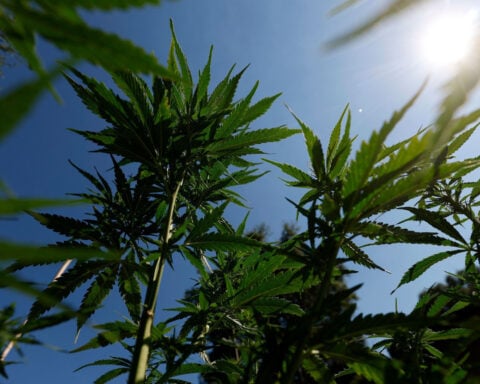 White House is considering reclassifying marijuana to ease restrictions on the drug