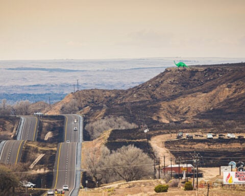 Texas sues utility company to recover damages from historic wildfire sparked by downed power lines