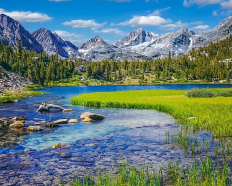 Where the wild things thrive: Finding and protecting nature’s climate change safe havens